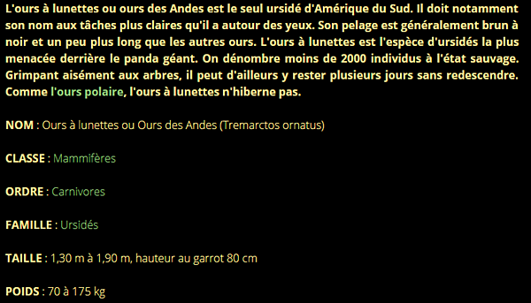 ours-texte1.png