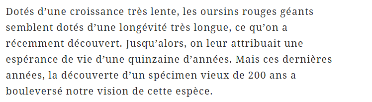 oursin-rouge-geant-texte.png