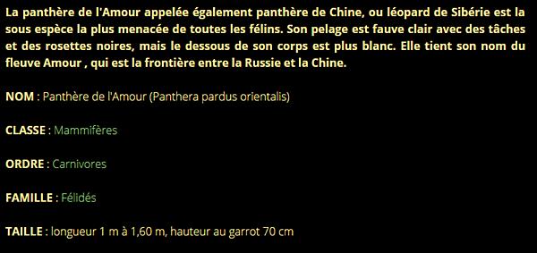 panthere-texte1.png