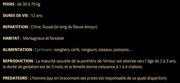 panthere-texte2.png