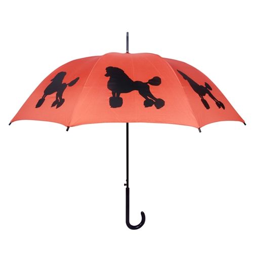 parapluie-caniche.jpg