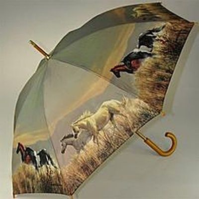 parapluie-chevaux.jpg