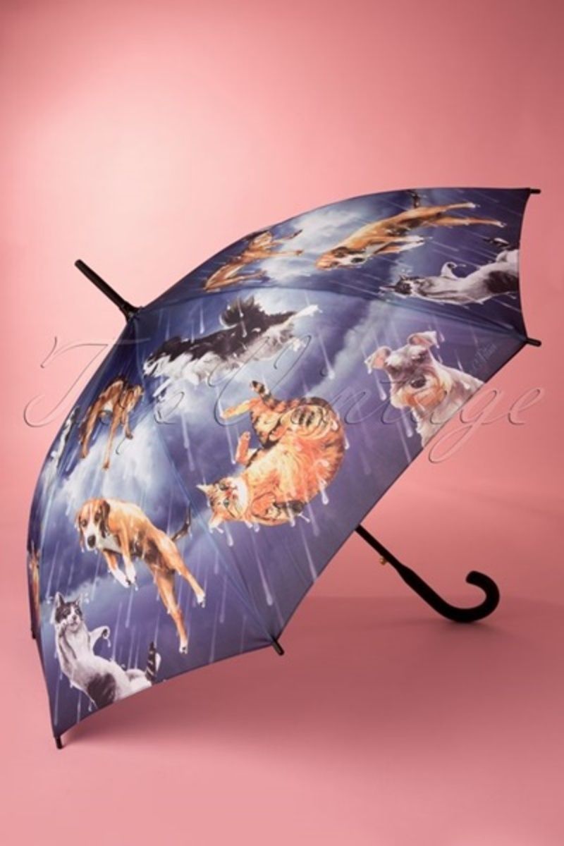 parapluie-chiens-et-chats.jpg