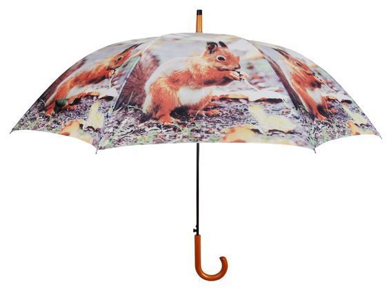 parapluie-ecureuil.jpg