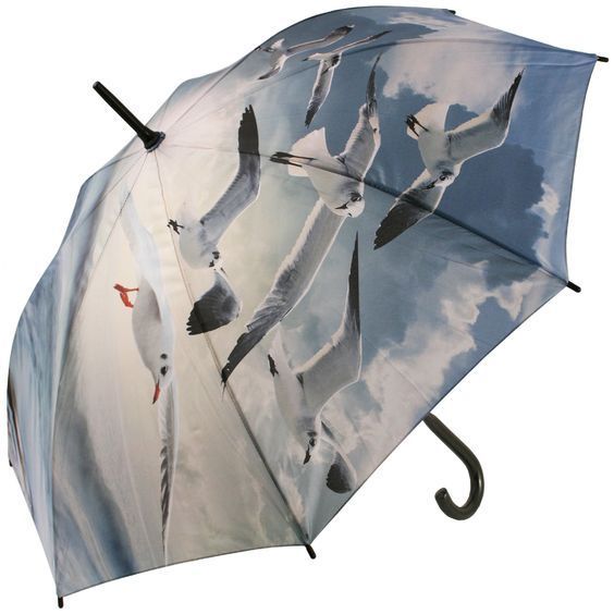 parapluie-mouettes.jpg
