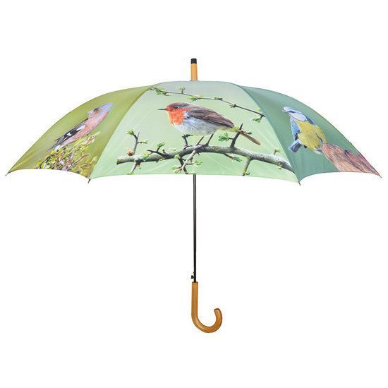 parapluie-oiseau.jpg