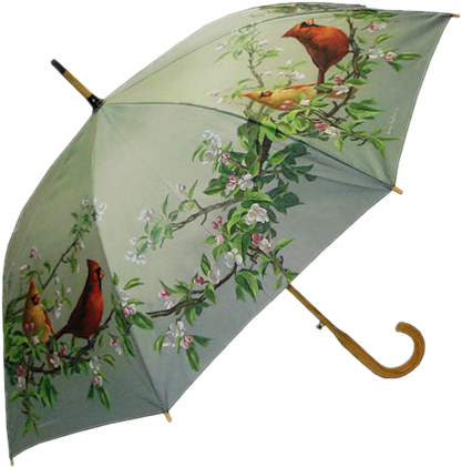 parapluie-oiseaux.png