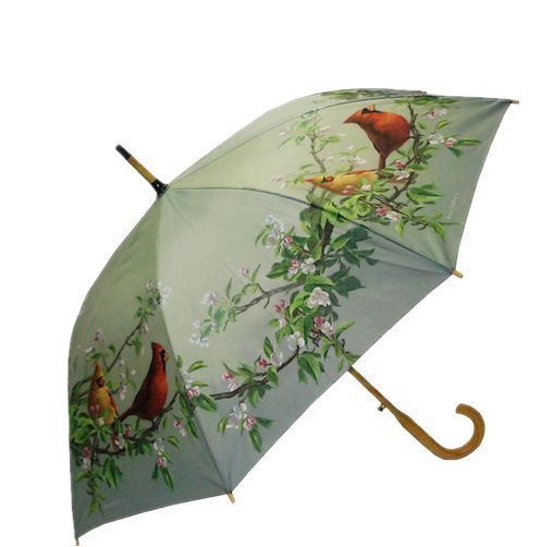 parapluie-oiseaux_1.jpg