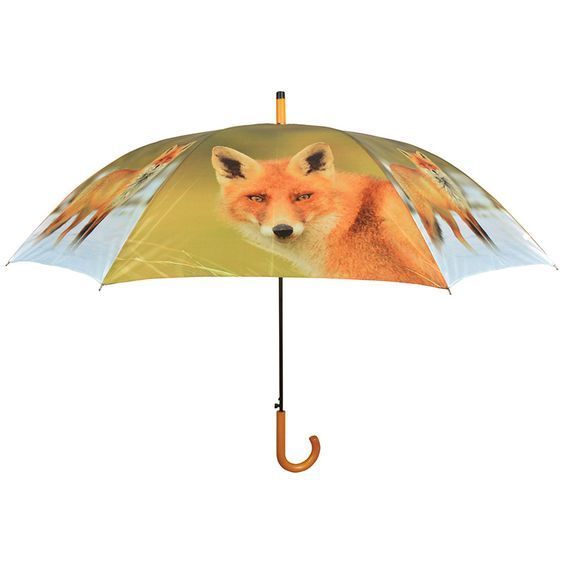 parapluie-renard.jpg