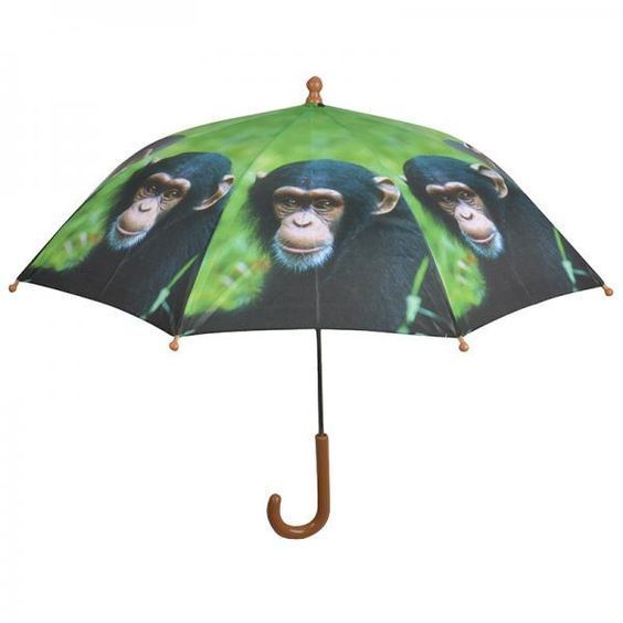parapluie-singe.jpg