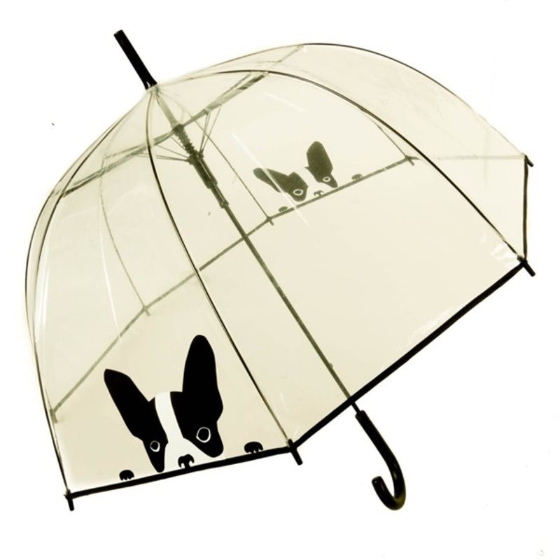 parapluie-transparent-chien.jpg