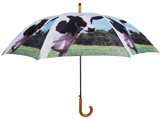 parapluie-vache.jpg