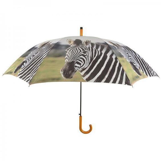 parapluie-zebre.jpg