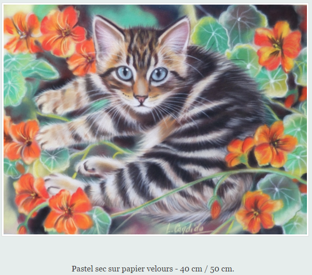 peintures-chats-laurence-16.png