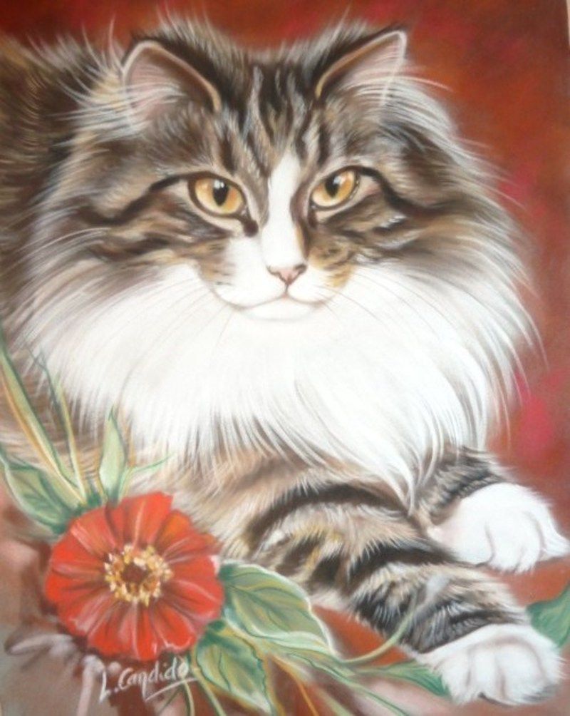 peintures-chats-laurence-2.jpg
