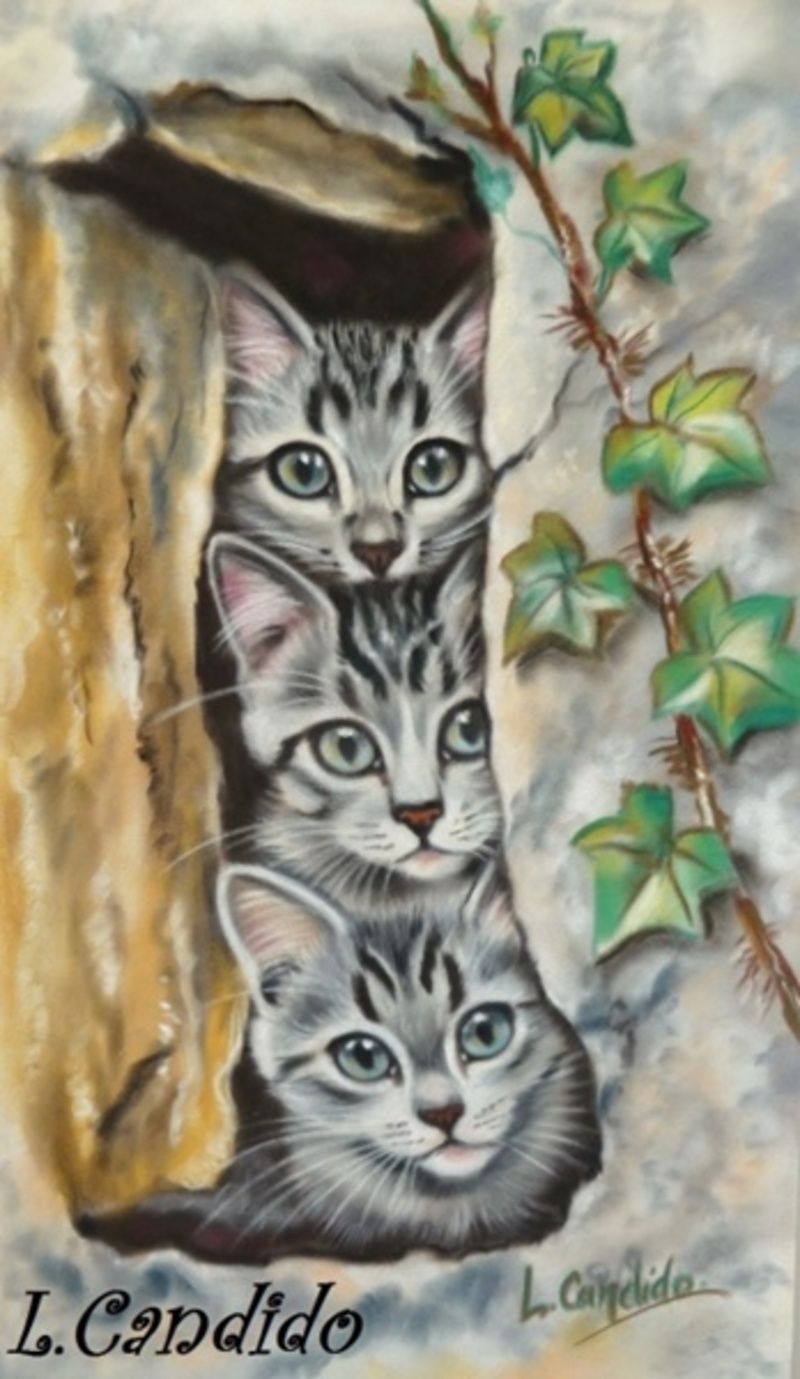 peintures-chats-laurence-21.jpg
