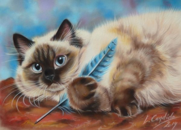 peintures-chats-laurence-22.jpg