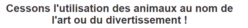 petition-titre.png