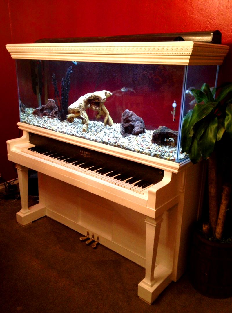 piano-aquarium.jpg