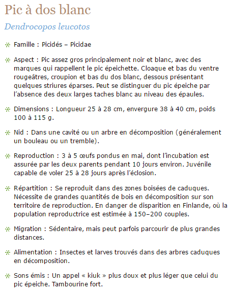 pic-texte1_1.png
