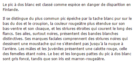 pic-texte2.png