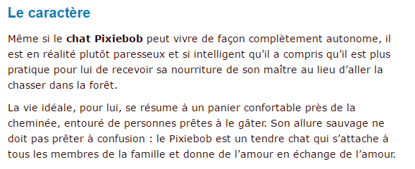 pixiebob-4.png
