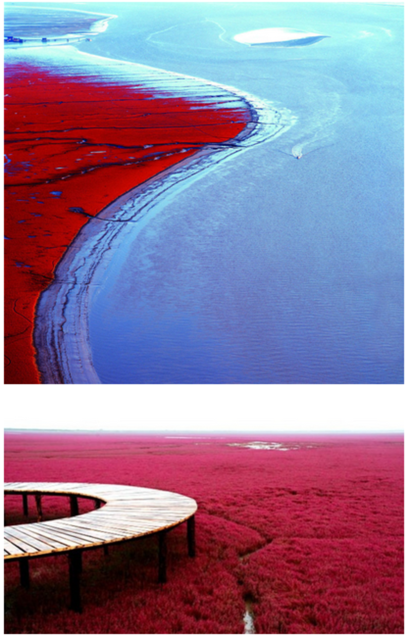 plage-rouge-photo1.png