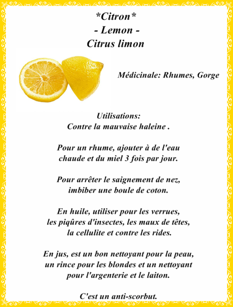 plante-citron.png