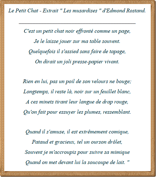 poeme-le-chat1.png