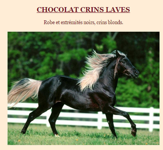 robe-cheval15.png