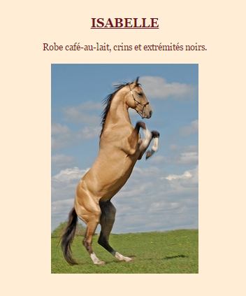 robe-cheval7.png