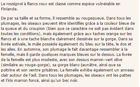 rossignol-texte.png