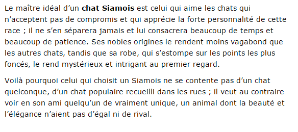 siamois-texte1.png