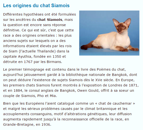 siamois-texte2.png