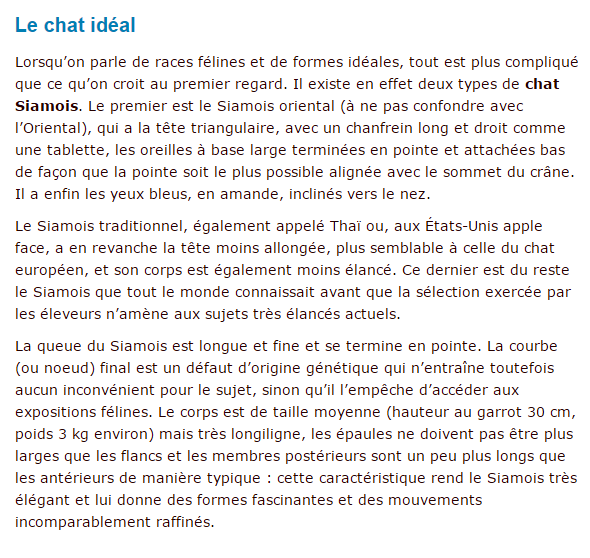 siamois-texte3.png