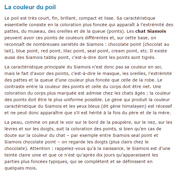 siamois-texte4.png