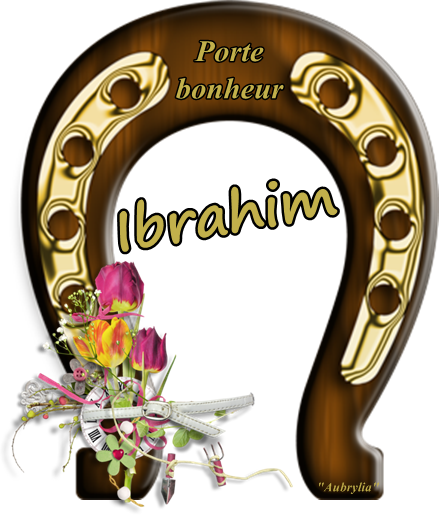 signature-ibrahim.png