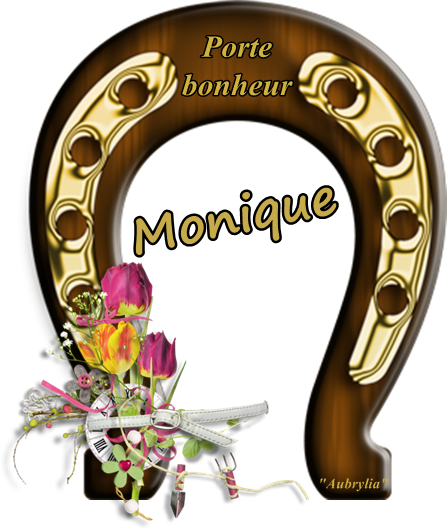 signature-monique-chouchougotrain11.png