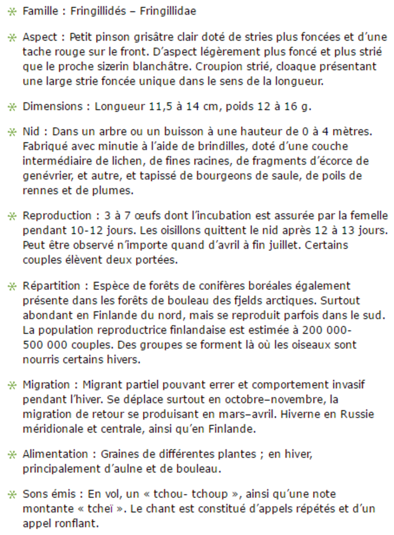sizerin-texte1.png