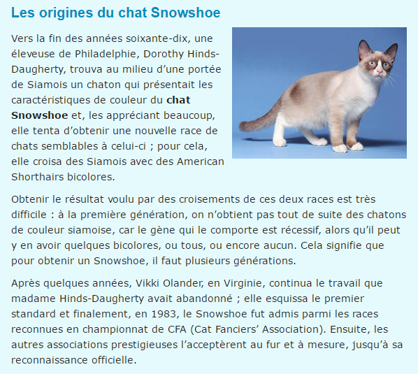 snowhoe-texte2.png