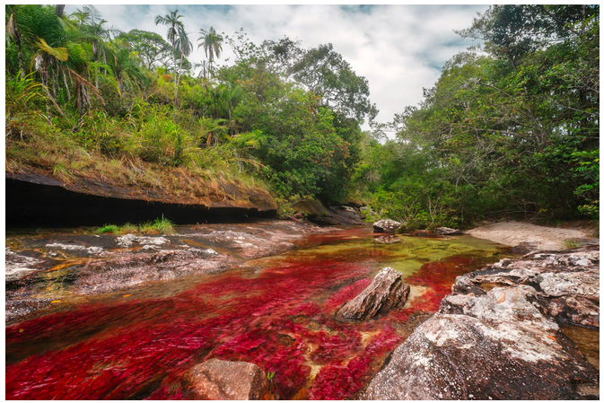 superbe-riviere-en-colombie1.png