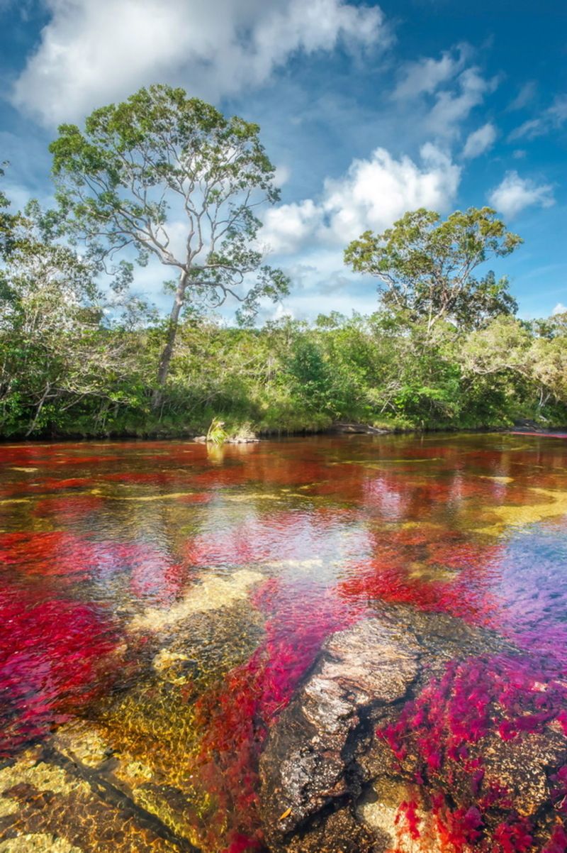 superbe-riviere-en-colombie4.jpg