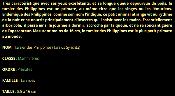 tarsier-texte1.png