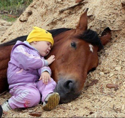 tendresse-bebe-et-cheval.png