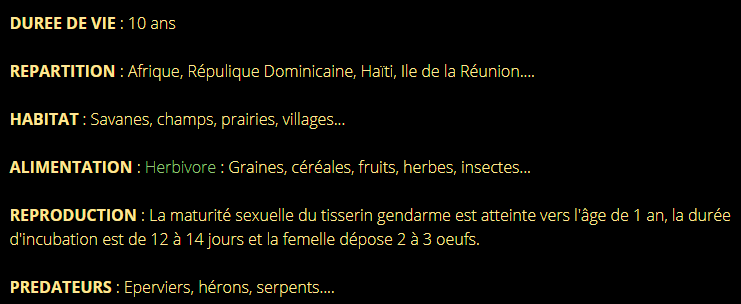 tisserin-texte2.png