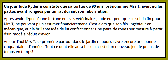 tortue-texte.png