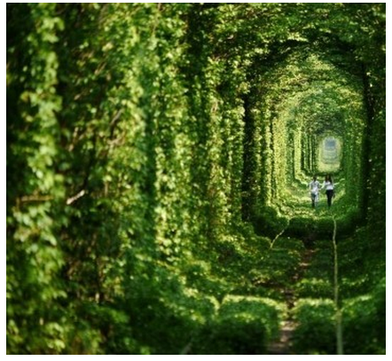 tunnel-amour-photo.png