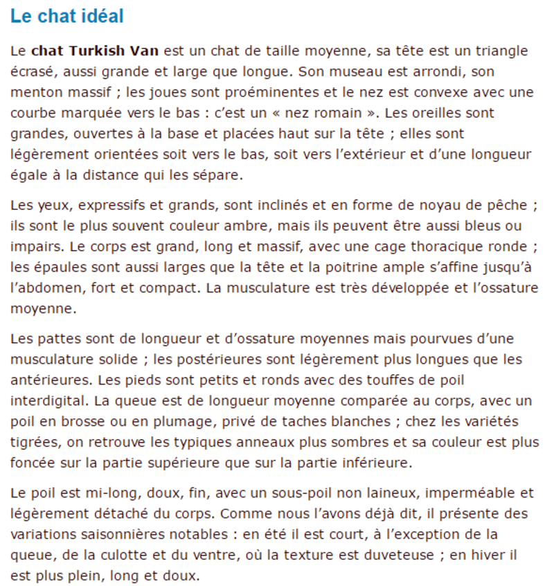 turkish-van-texte3.png