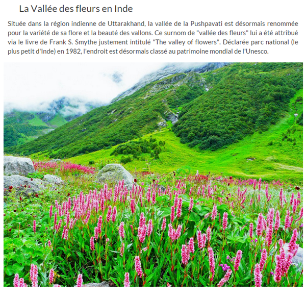 vallee-des-fleurs-en-inde.png