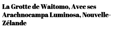 waitomo-titre.png